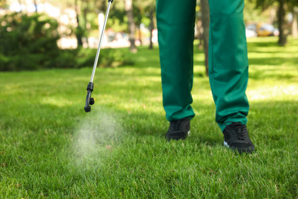 Best Termite Control Services  in Las Vegas, NM