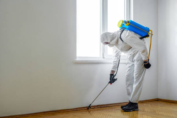  Las Vegas, NM Pest Control Pros
