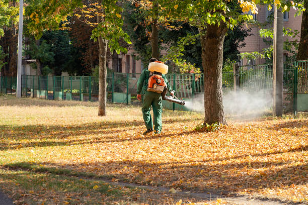 Best Commercial Pest Control Services  in Las Vegas, NM