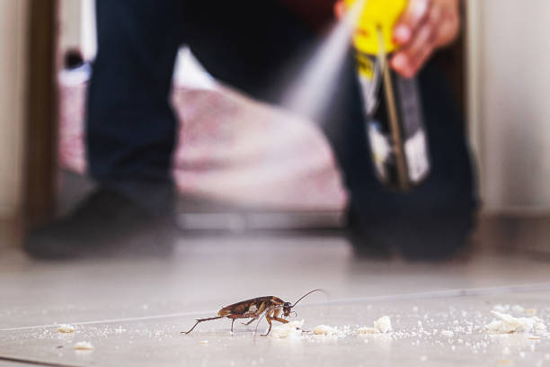 Best Best Pest Control Companies  in Las Vegas, NM