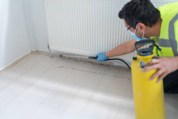 Best Pest Prevention Services  in Las Vegas, NM
