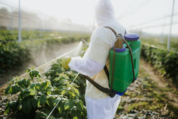 Best Local Pest Control Services  in Las Vegas, NM
